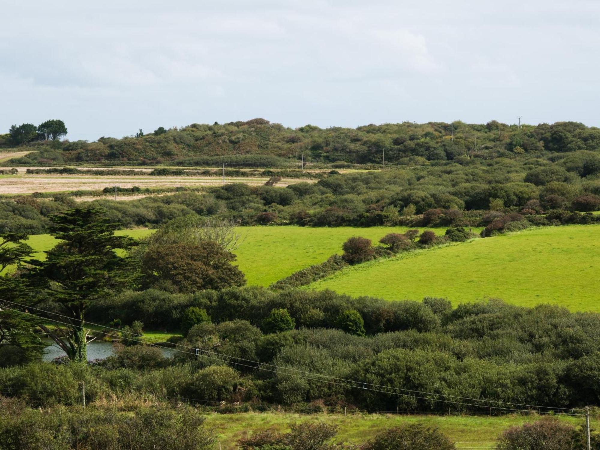 Willa Rosecott St Ives Zewnętrze zdjęcie